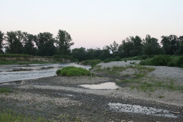 Zabeľków, 1.8.2017
Meandry Odry - štěrkové náplavy.
Schlüsselwörter: Starý Bohumín Zabeľków řeka Odra