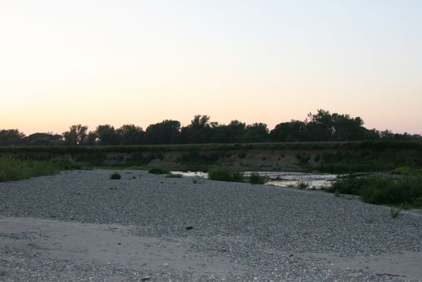 Zabeľków, 1.8.2017
Meandry Odry - štěrkové náplavy.
Keywords: Starý Bohumín Zabeľków řeka Odra Zorochros meridionalis