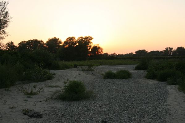 Zabeľków, 1.8.2017
Meandry Odry - štěrkové náplavy.
Klíčová slova: Starý Bohumín Zabeľków řeka Odra Adrastus circassicus Betarmon bisbimaculatus Zorochros meridionalis