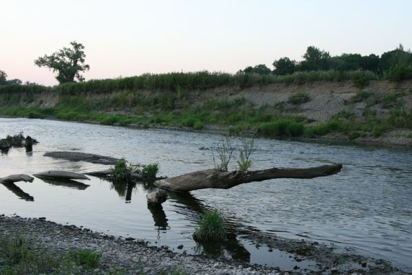 Zabeľków, 1.8.2017
Meandry Odry - štěrkové náplavy.
Mots-clés: Starý Bohumín Zabeľków řeka Odra