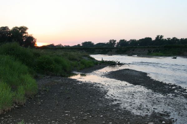 Zabeľków, 1.8.2017
Meandry Odry - štěrkové náplavy.
Klíčová slova: Starý Bohumín Zabeľków řeka Odra