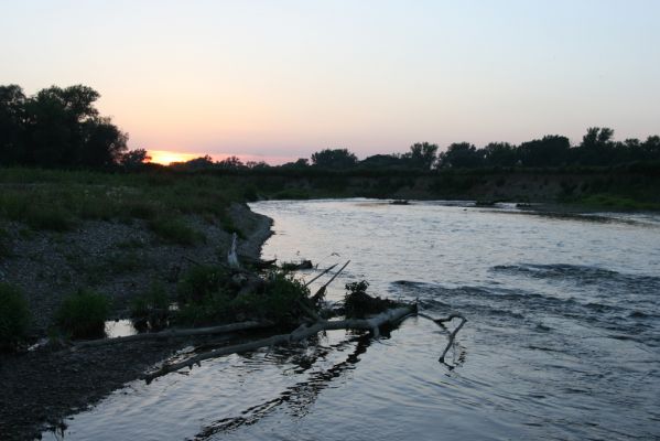 Zabeľków, 1.8.2017
Meandry Odry - štěrkové náplavy.
Mots-clés: Starý Bohumín Zabeľków řeka Odra