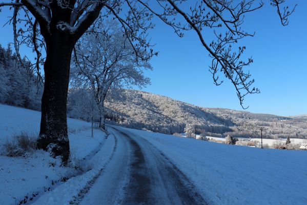 Žacléř, 11.1.2022
Bobr - pohled na Boberskou stráň.
Keywords: Krkonoše Rýchory Žacléř Bobr Boberská stráň