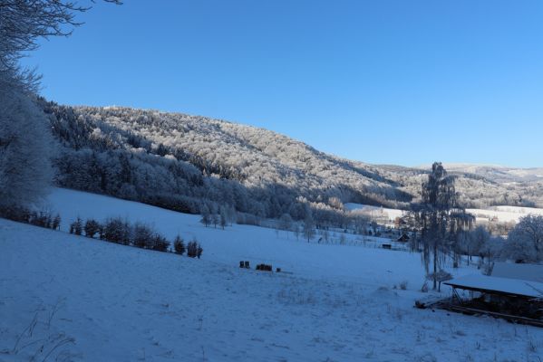 Žacléř, 11.1.2022
Rýchory, pod Boberskou strání.
Keywords: Krkonoše Rýchory Žacléř Boberská stráň