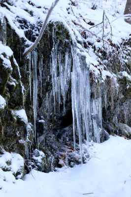 Žacléř, 11.1.2022
Rýchory, Boberská stráň - Hadí cesta.
Klíčová slova: Krkonoše Rýchory Žacléř Boberská stráň Hadí cesta