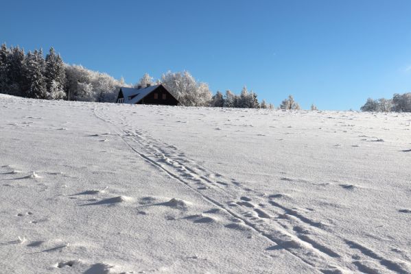 Žacléř, 11.1.2022
Rýchory, Vizov - chata Hubertus.
Keywords: Krkonoše Rýchory Žacléř Vizov Hubertus