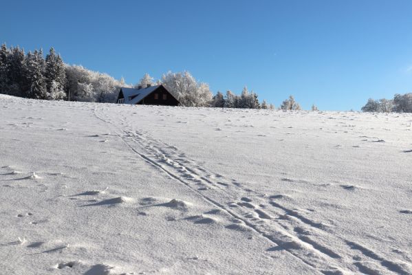 Žacléř, 11.1.2022
Rýchory, Vizov - chata Hubertus.
Klíčová slova: Krkonoše Rýchory Žacléř Vizov Hubertus