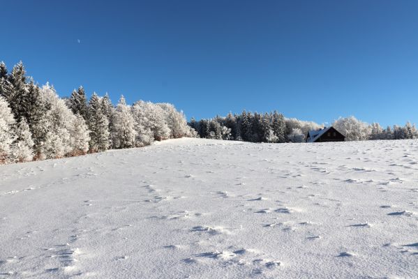 Žacléř, 11.1.2022
Rýchory, Vizov - chata Hubertus.
Mots-clés: Krkonoše Rýchory Žacléř Vizov Hubertus
