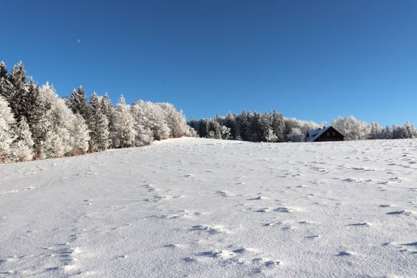 Žacléř, 11.1.2022
Rýchory, Vizov - chata Hubertus.
Klíčová slova: Krkonoše Rýchory Žacléř Vizov Hubertus