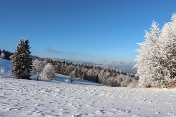 Žacléř, 11.1.2022
Rýchory, Vizov, Röhrichtův kříž - pohled do Polska.
Klíčová slova: Krkonoše Rýchory Žacléř Vizov Röhrichtův kříž
