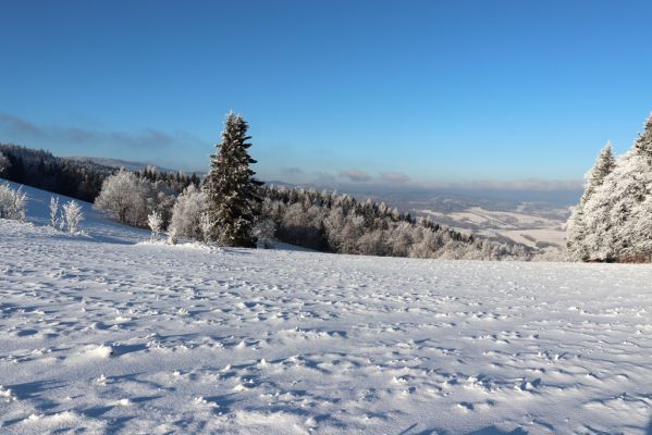 Žacléř, 11.1.2022
Rýchory, Vizov, Röhrichtův kříž - pohled do Polska.
Klíčová slova: Krkonoše Rýchory Žacléř Vizov Röhrichtův kříž