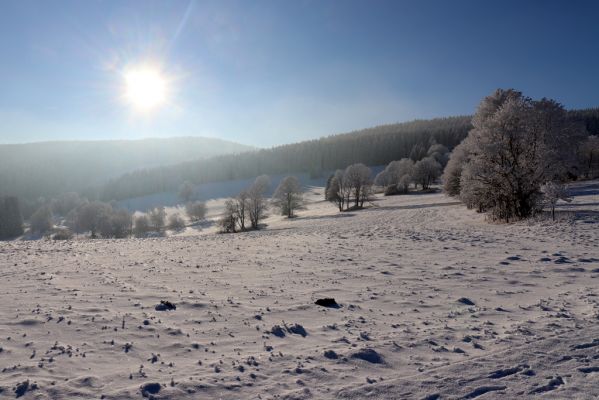 Žacléř, 11.1.2022
Rýchory, Vizov - pohled na Dvorský les.
Klíčová slova: Krkonoše Rýchory Žacléř Vizov Dvorský les