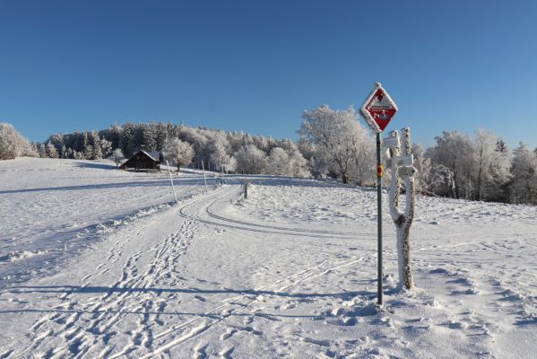 Žacléř, 11.1.2022
Rýchory, Vizov - pohled na chatu Hubertus.
Klíčová slova: Krkonoše Rýchory Žacléř Vizov Hubertus