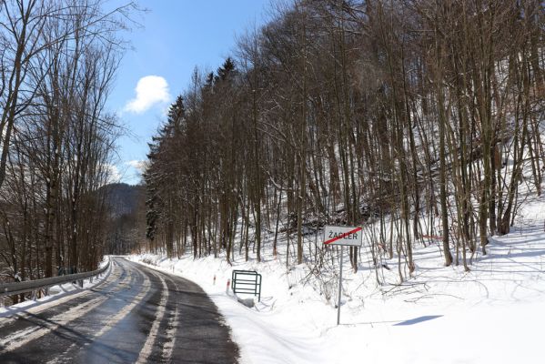 Žacléř, 20.3.2021
Les na zámeckém vrchu.
Schlüsselwörter: Žacléř Krkonoše Rýchory Zámecký vrch