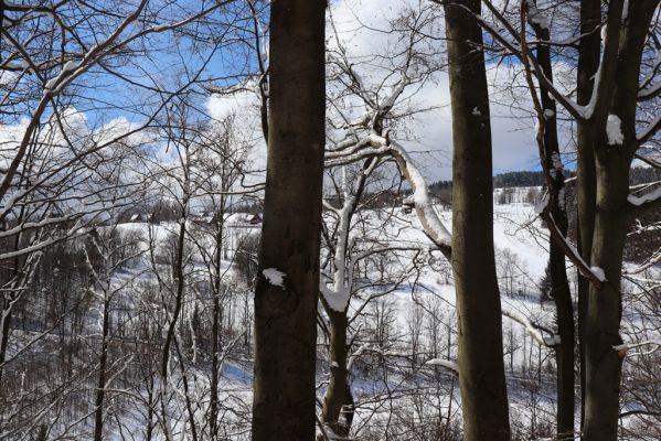 Žacléř, 20.3.2021
Prkenný Důl - Vernířovice
Klíčová slova: Žacléř Krkonoše Rýchory Prkenný Důl Vernířovice