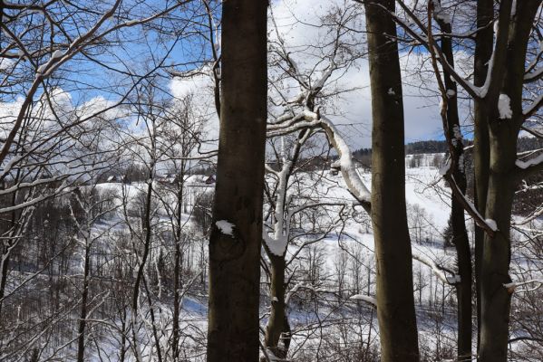 Žacléř, 20.3.2021
Prkenný Důl - Vernířovice
Mots-clés: Žacléř Krkonoše Rýchory Prkenný Důl Vernířovice