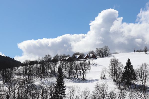 Žacléř, 20.3.2021
Prkenný Důl - Vernířovice.
Klíčová slova: Žacléř Krkonoše Rýchory Prkenný Důl Vernířovice