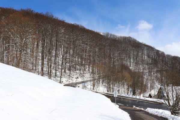 Žacléř, 20.3.2021
Zámecký vrch z Prkenného Dolu.
Keywords: Žacléř Krkonoše Rýchory Prkenný Důl Zámecký vrch