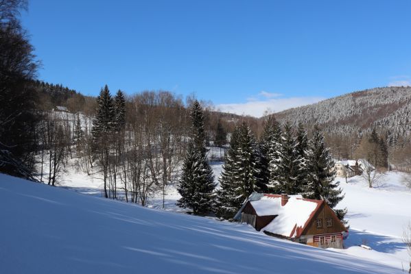 Žacléř, 20.3.2021
Rýchory, Černomostecká cesta - osada Rýchory.
Keywords: Žacléř Krkonoše Rýchory Černomostecká cesta