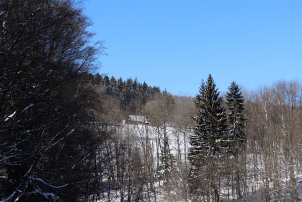 Žacléř, 20.3.2021
Rýchory, Černomostecká cesta - osada Rýchory.
Klíčová slova: Žacléř Krkonoše Rýchory Černomostecká cesta