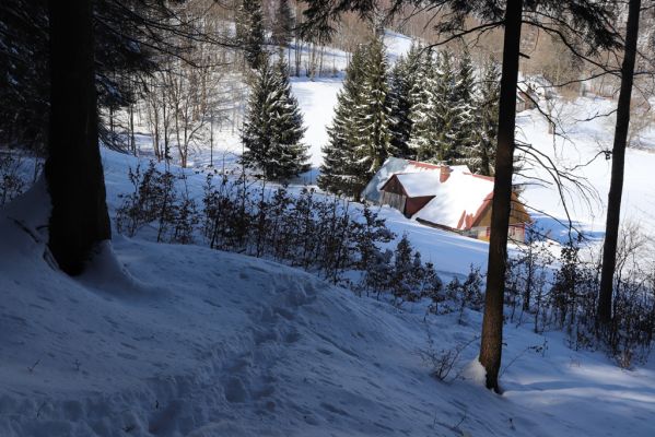 Žacléř, 20.3.2021
Rýchory, Černomostecká cesta - osada Rýchory.
Schlüsselwörter: Žacléř Krkonoše Rýchory Černomostecká cesta