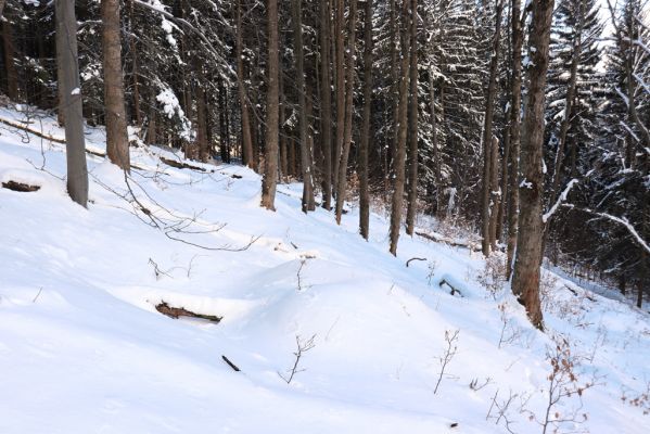 Žacléř, 20.3.2021
Rýchory, Černá rokle.
Schlüsselwörter: Žacléř Krkonoše Rýchory Černá rokle