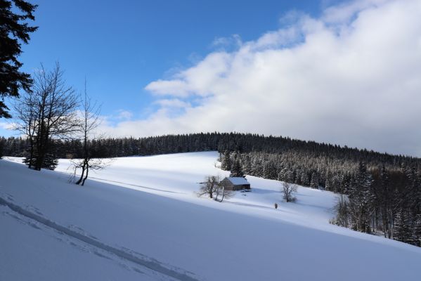 Žacléř, 20.3.2021
Rýchory u Rýchorského kříže.
Klíčová slova: Žacléř Krkonoše Rýchory Rýchorský kříž Mravenečník