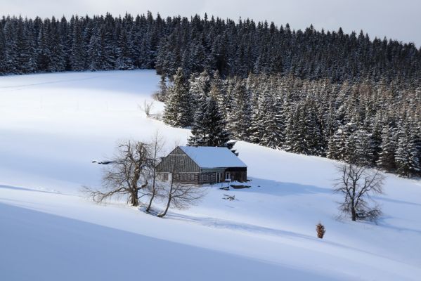 Žacléř, 20.3.2021
Rýchory, u Rýchorského kříže.
Klíčová slova: Žacléř Krkonoše Rýchory Rýchorský kříž