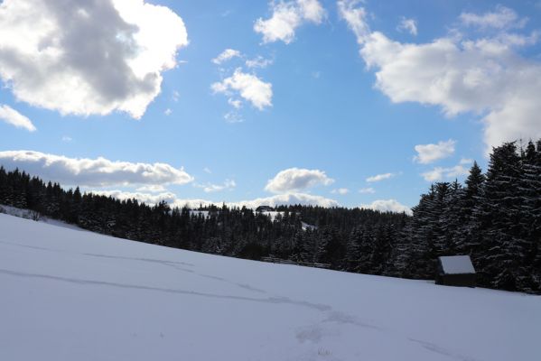 Žacléř, 20.3.2021
Rýchorská Bouda od Rýchorského kříže.
Keywords: Žacléř Rýchory Rýchorská Bouda Rýchorský kříž Krkonoše