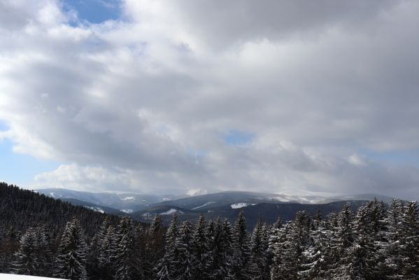 Žacléř, 20.3.2021
Sněžka od Rýchorského kříže.
Keywords: Žacléř Rýchory Rýchorský kříž Krkonoše Sněžka