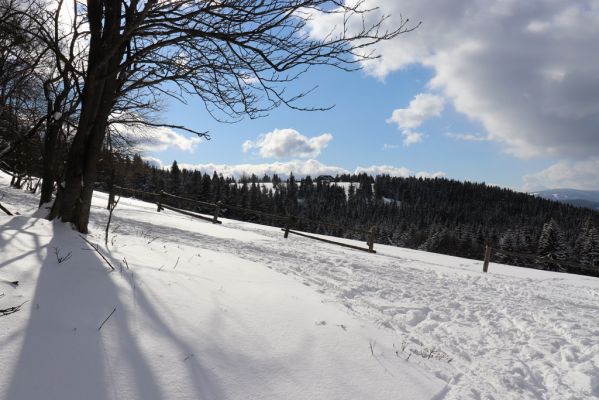 Žacléř, 20.3.2021
Rýchorská Bouda od Rýchorského kříže.
Mots-clés: Žacléř Rýchory Rýchorská Bouda Krkonoše