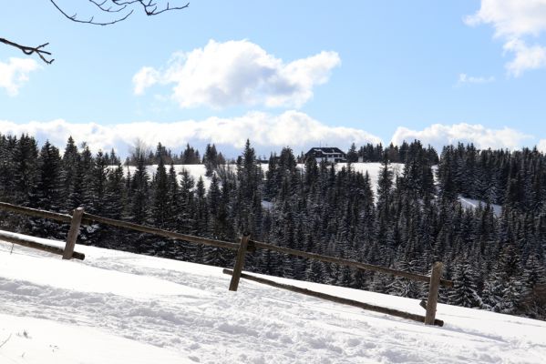 Žacléř, 20.3.2021
Rýchorská Bouda od Rýchorského kříže.
Keywords: Žacléř Rýchory Rýchorská Bouda Krkonoše