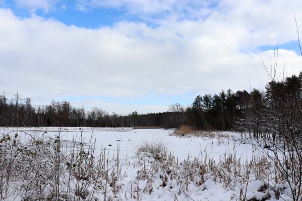 Lukavice, 13.1.2021
Výsonín, rybník Zaháj.
Klíčová slova: Lukavice Výsonín rybník Zaháj