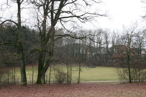 Žamberk, 5.12.2015
Zámecký park.



Klíčová slova: Žamberk zámecký park