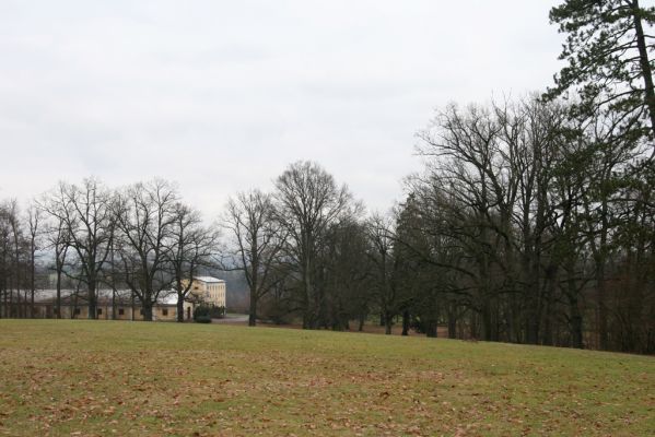 Žamberk, 5.12.2015
Zámecký park.


Klíčová slova: Žamberk zámecký park