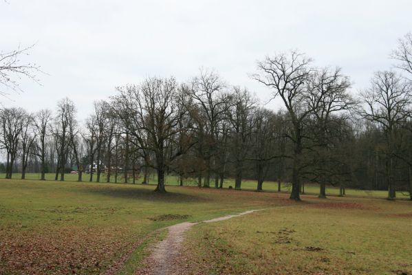 Žamberk, 5.12.2015
Zámecký park.



Schlüsselwörter: Žamberk zámecký park