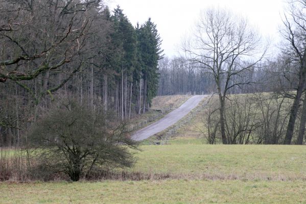 Žamberk, 5.12.2015
Cesta ze zámeckého parku k Lukavici. Revitalizovaná jírovcová alej.


Schlüsselwörter: Žamberk revitalizovaná jírovcová alej k Lukavici