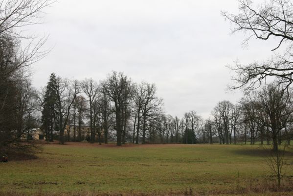 Žamberk, 5.12.2015
Zámecký park.


Klíčová slova: Žamberk zámecký park