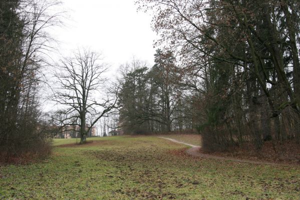 Žamberk, 5.12.2015
Zámecký park.



Schlüsselwörter: Žamberk zámecký park