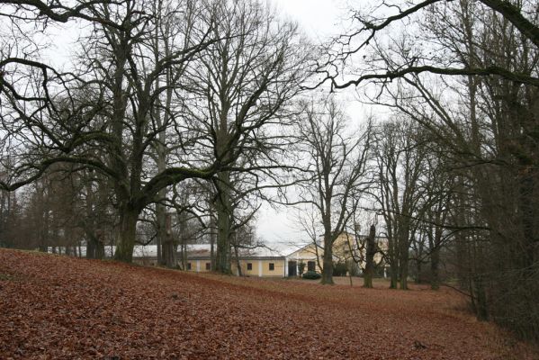 Žamberk, 5.12.2015
Zámecký park.



Keywords: Žamberk zámecký park