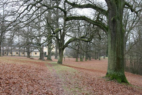 Žamberk, 5.12.2015
Zámecký park.



Klíčová slova: Žamberk zámecký park