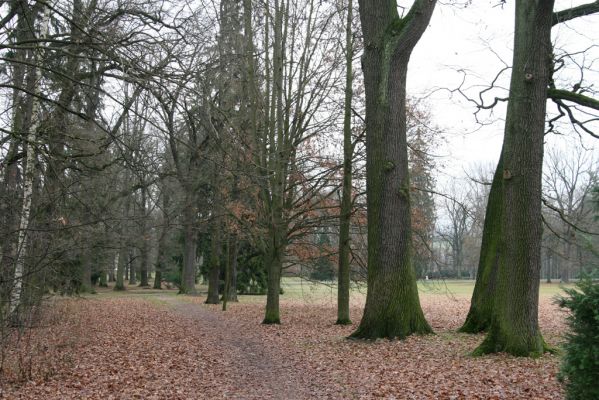 Žamberk, 5.12.2015
Zámecký park.



Klíčová slova: Žamberk zámecký park