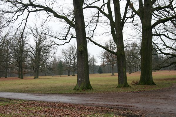 Žamberk, 5.12.2015
Zámecký park.



Klíčová slova: Žamberk zámecký park