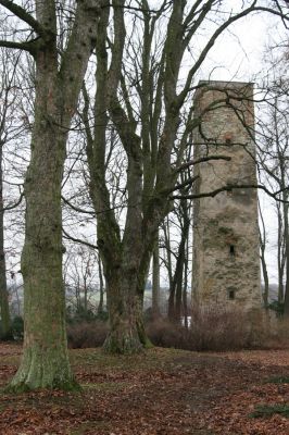 Žamberk, 5.12.2015
Zámecký park.



Klíčová slova: Žamberk zámecký park