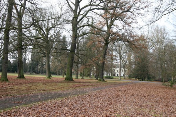 Žamberk, 5.12.2015
Zámecký park.



Klíčová slova: Žamberk zámecký park