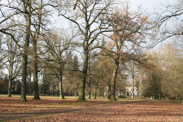 Žamberk, 5.12.2015
Zámecký park.



Klíčová slova: Žamberk zámecký park