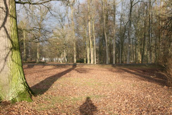 Žamberk, 5.12.2015
Zámecký park.



Klíčová slova: Žamberk zámecký park