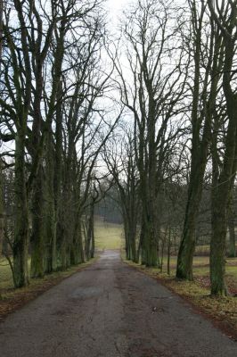 Žamberk, 5.12.2015
Zámecký park. Jírovcová alej u cesty k Lukavici.



Klíčová slova: Žamberk zámecký park jírovcová alej k Lukavici