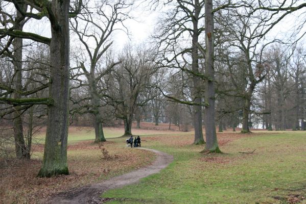 Žamberk, 5.12.2015
Zámecký park.



Klíčová slova: Žamberk zámecký park