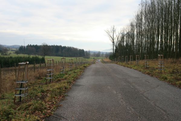 Žamberk, 5.12.2015
V sedle u cesty z parku k Lukavici. Revitalizovaná jírovcová alej.
Klíčová slova: Žamberk revitalizovaná jírovcová alej k Lukavici